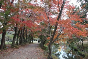 <p>The path which circles Osawa Pond</p>