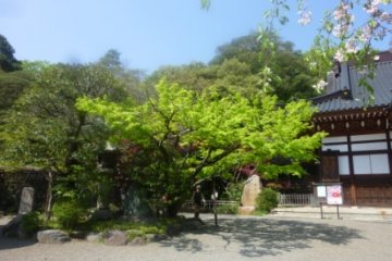 Jindaiji temple