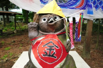 Smiling Raccoon Dogs