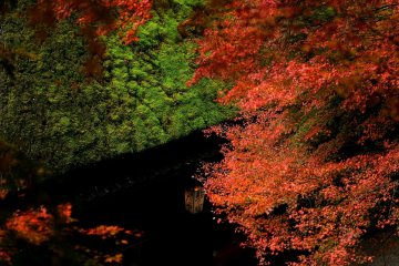 <p>Moss-covered thatched roof and slight light coming from a tea house lantern create drama</p>