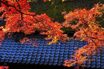 <p>Upper part of Saga-Toriimoto area. Similar photos taken from this angle are often used in various magazines (Ayu Teahouse Hirano-ya) &nbsp;</p>