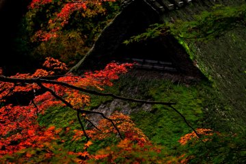 <p>This area is designated as one of 'Important Groups of Traditional Buildings' in Japan. It's hard to find a thatched roof covered with moss like this anywhere else!</p>