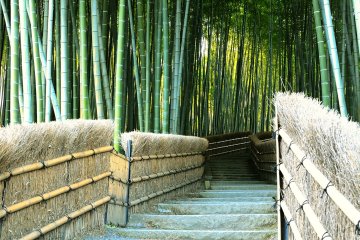 <p>The history of Adashino Nenbutsu-ji Temple started when Kukai founded Nyorai-ji Temple, and buried the abandoned bodies of the dead here</p>
