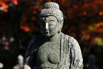 <p>Adashino Nenbutsu-ji is a temple of Jodo Buddhism located at the lower part of the Toriimoto area. Since the&nbsp;Heian Period, Adashino had been an area where&nbsp;people abandoned the bodies of the dead, exposing them to the wind and rain</p>