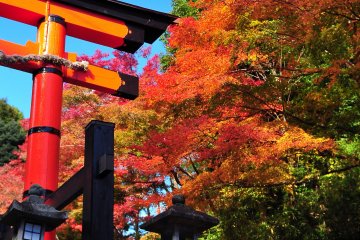 <p>Most of the traditional buildings were built in the late Edo Period through Meiji Period. Surrounded by abundant greenery, this scenery reminds you of the Japan of yesteryear</p>