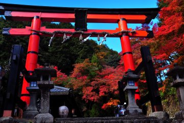 <p>Located in Okusaga in Kyoto, Atago Shrine enshrines the God of fire and is the head shrine of more than 800 Atago Shrines in Japan. This torii is the first torii gate on its grounds&nbsp;</p>