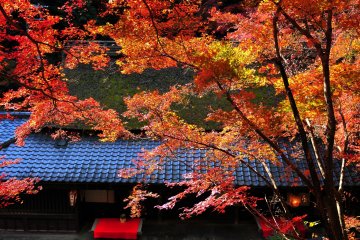<p>When you pass by Hirano-ya Teahouse, go straight and turn right; you'll be at the same spot from where I took the 2nd photo. Watch your step, since the ground here is unsteady</p>