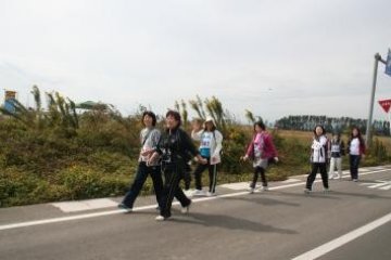 <p>Walking together</p>
