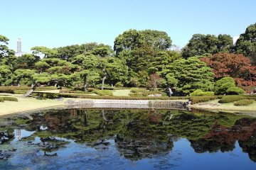 Introducing Tokyo's Parks & Gardens