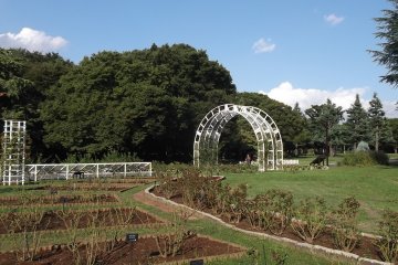 <p>Yoyogi Park</p>