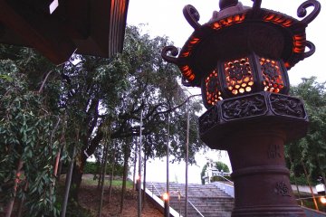 <p>Sun had set already and it was getting darker and darker by the minute</p>