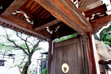 <p>Looking up at the gate</p>