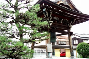 <p>Pine tree and belfry</p>