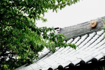 <p>Green leaves and the temple roof</p>