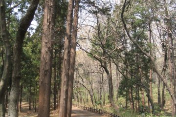 Pathway