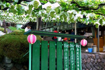 <p>Festive small pink and white lanterns</p>