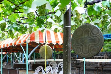 <p>A red and white awning covers a long table</p>