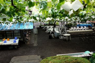 <p>It was a fascinating place, even in the rain. If the sun was shining it would have been magical!</p>