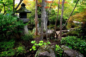 <p>Stone lantern among trees</p>