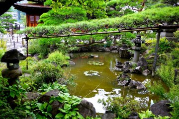 <p>Toko-ji's pond is shaped like the ideogram for 'dragon'</p>