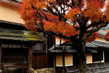 <p>Classic Machiya (Japanese traditional wooden house) in Monzen-cho (a temple town) adds a traditional feel to the temple street</p>
