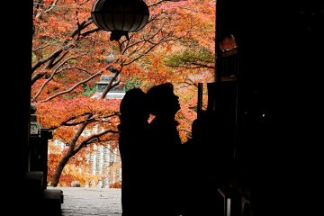 <p>At 'Raido (Prayer Hall)', visitors were praying earnestly. The visitors and the statue of the Goddess of Mercy were looking at each other tenderly</p>