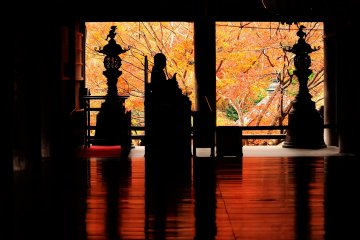 Tapis de Momiji au Temple des Fleurs