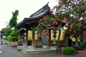 <p>Buckets for washing grave-stones wait near the water basin &nbsp;</p>