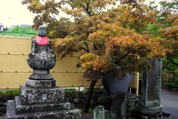 <p>Statue and maple tree</p>