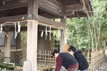 교토 "나시노키 신사" 참배
