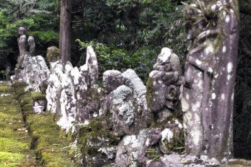 <p>Barisan arca Buddha yang berusia ribuan tahun dan tampak lapuk termakan waktu.</p>