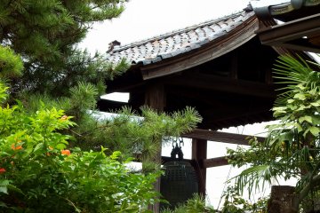 <p>Belfry in the trees</p>