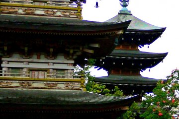 Rainy Day at Chozen-ji