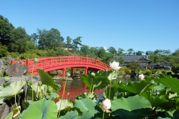 <p>Ce magnifique pont rouge vous permet d'admirer les carpes koi lorsqu'elles nagent paisiblement dans l'eau</p>