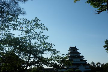 <p>Une autre vue sur le Tsuruga-jo &agrave; travers les arbres alentours</p>
