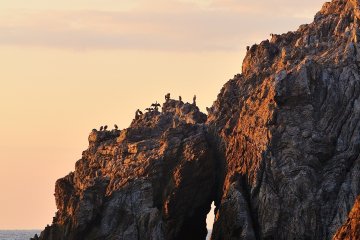 <p>On the tips of these jagged rocks, Japanese cormorants were waiting for the crack of dawn</p>