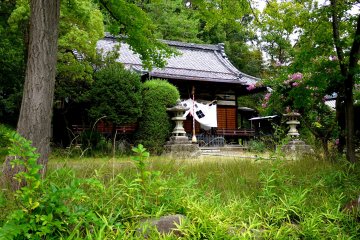 <p>Summer growth surrounds the shrine</p>