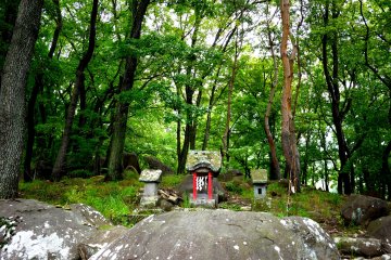 <p>A small shrine, no bigger than most O-jizo shrines, stands among the trees at the entrance</p>