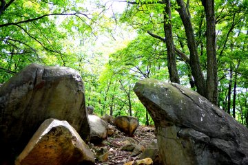 <p>Looking through a gap between two huge rocks</p>