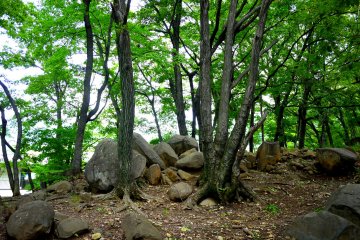 <p>Is it my imagination or do the rocks have cut edges?</p>
