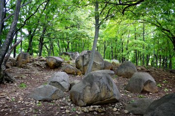 <p>The trees look fairly young, so perhaps this is the site of a ruin</p>