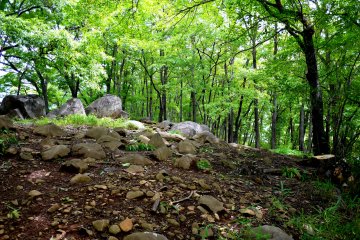 <p>A small ridge with tumbled rocks</p>