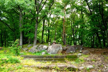 <p>This seems to be an entrance, but there are only trees and rocks here</p>