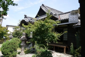 <p>Tiled roof of the main hall &nbsp;</p>