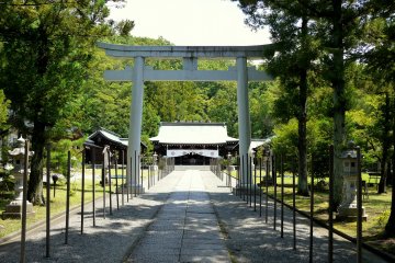 <p>The numerous small posts are not usually there, but the shrine was preparing for a festival</p>