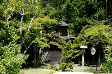 <p>Almost hidden in the trees</p>