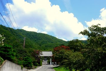 <p>The approach to the shrine &nbsp;</p>