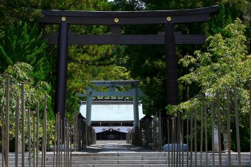 <p>Unusual black torii</p>