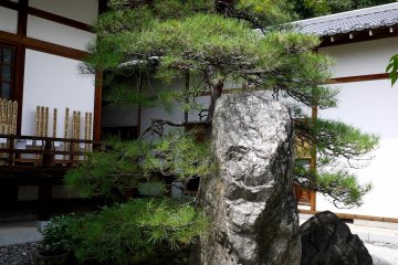 <p>A large rock standing in the garden</p>
