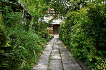<p>Path leading to one of the temple buildings</p>